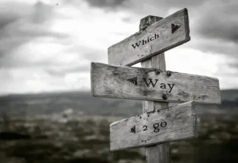 Home Page 3 Surrogacy Paths